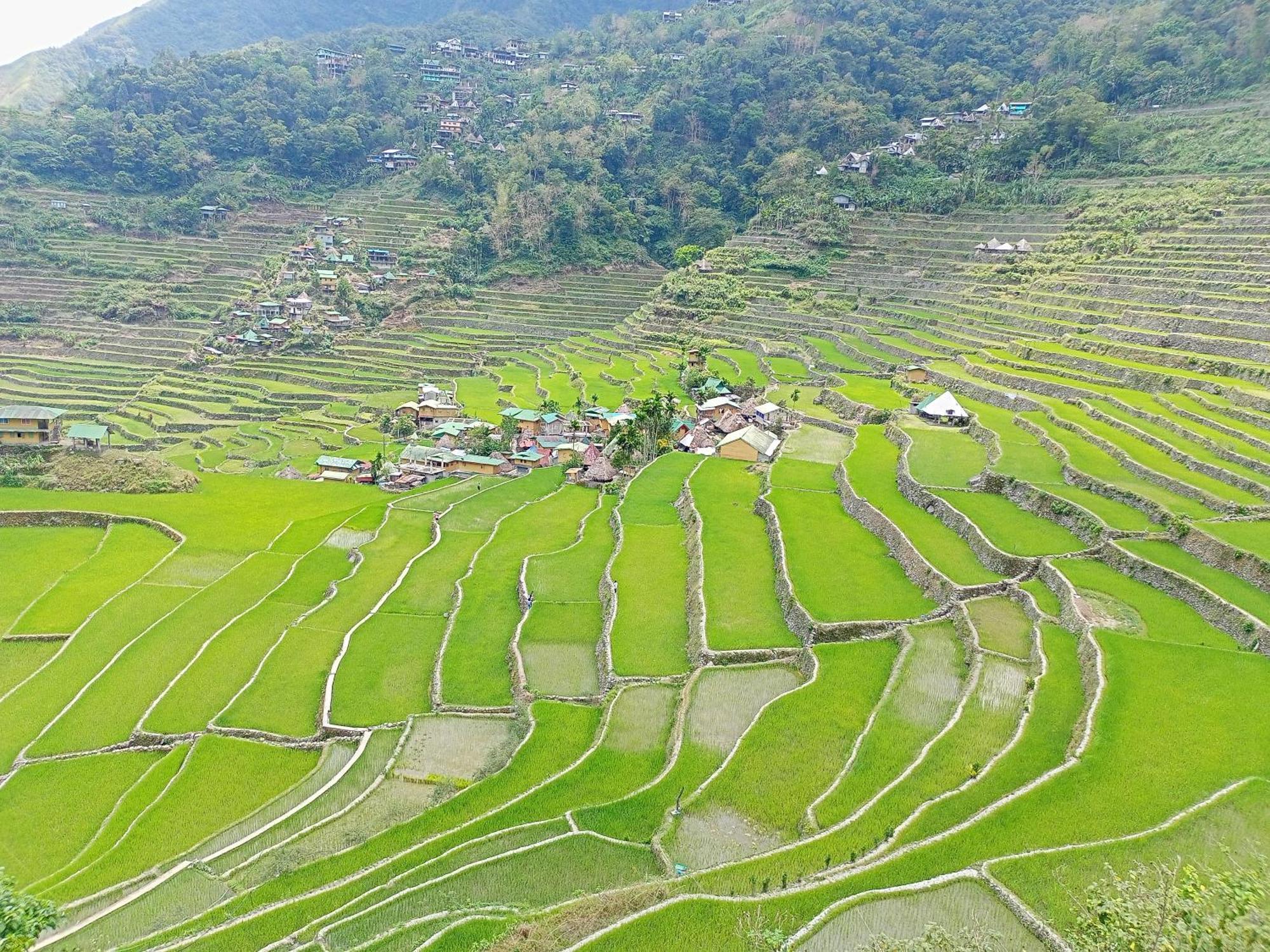 Banaue Transient House Bed And Breakfast Exterior photo